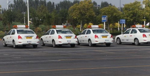 本市機(jī)動(dòng)車駕駛員培訓(xùn)行業(yè)信用評價(jià)體系即將全面實(shí)施，促進(jìn)行業(yè)規(guī)范與服務(wù)質(zhì)量提升